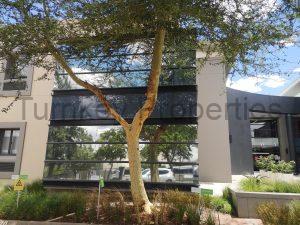 571m² office to let Clearwater office park, Strubensvallei